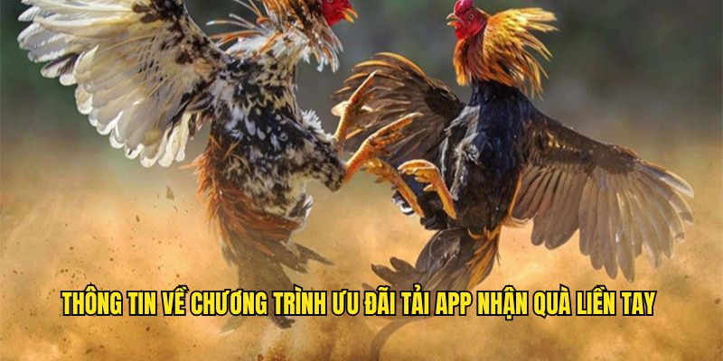 Thông tin chi tiết về ưu đãi tải app ngay nhận tiền liền tay